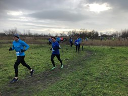 haarrijntrailrun 2