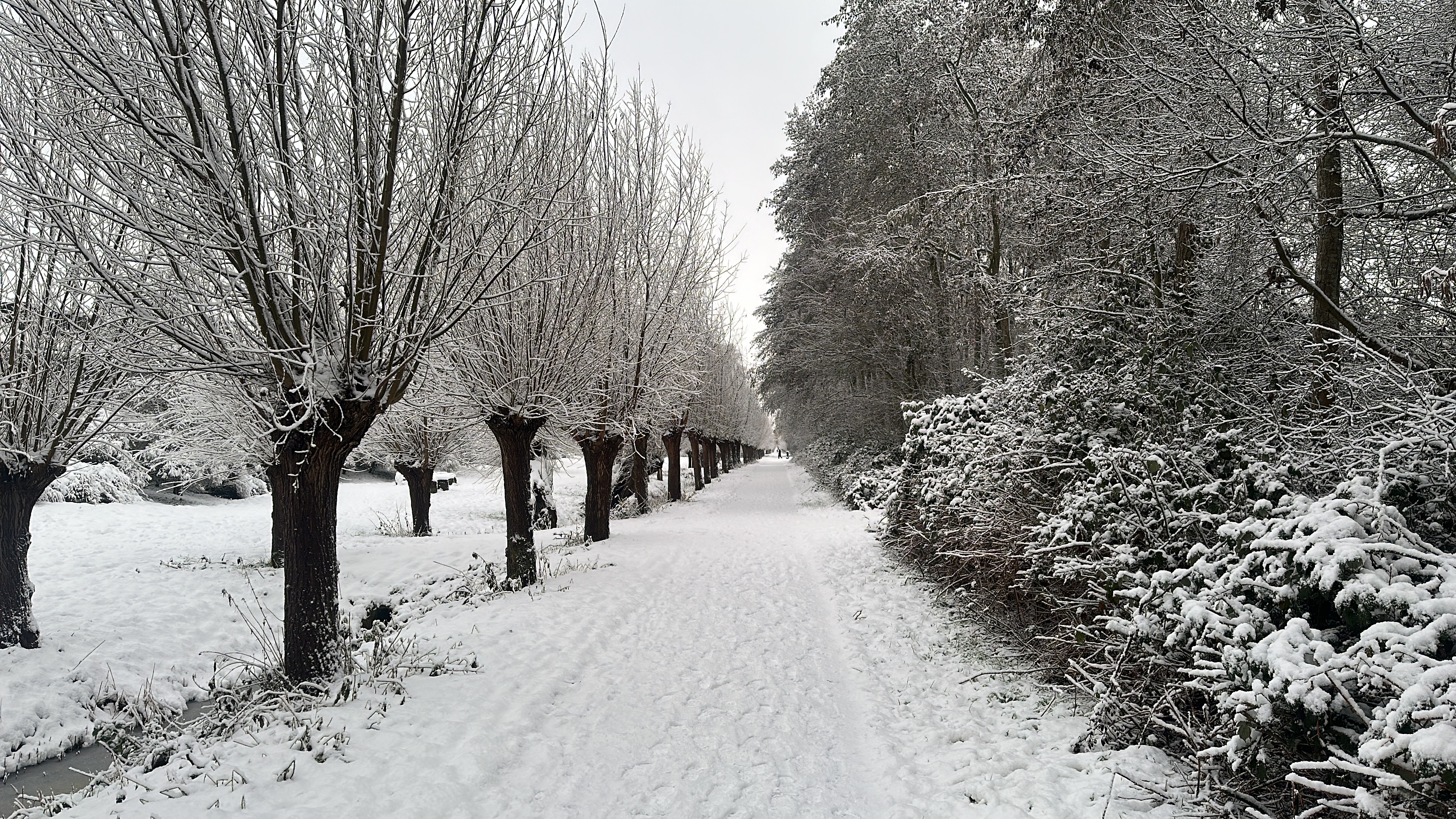 Trainingen dinsdag 6 en woensdag 7 januari afgelast