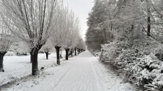 F2020242-886A-4CE3-B80B-5BD7DA98D4BC